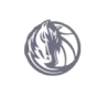 Dallas Mavericks